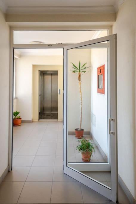 Remedios Apartment Lamego Zewnętrze zdjęcie
